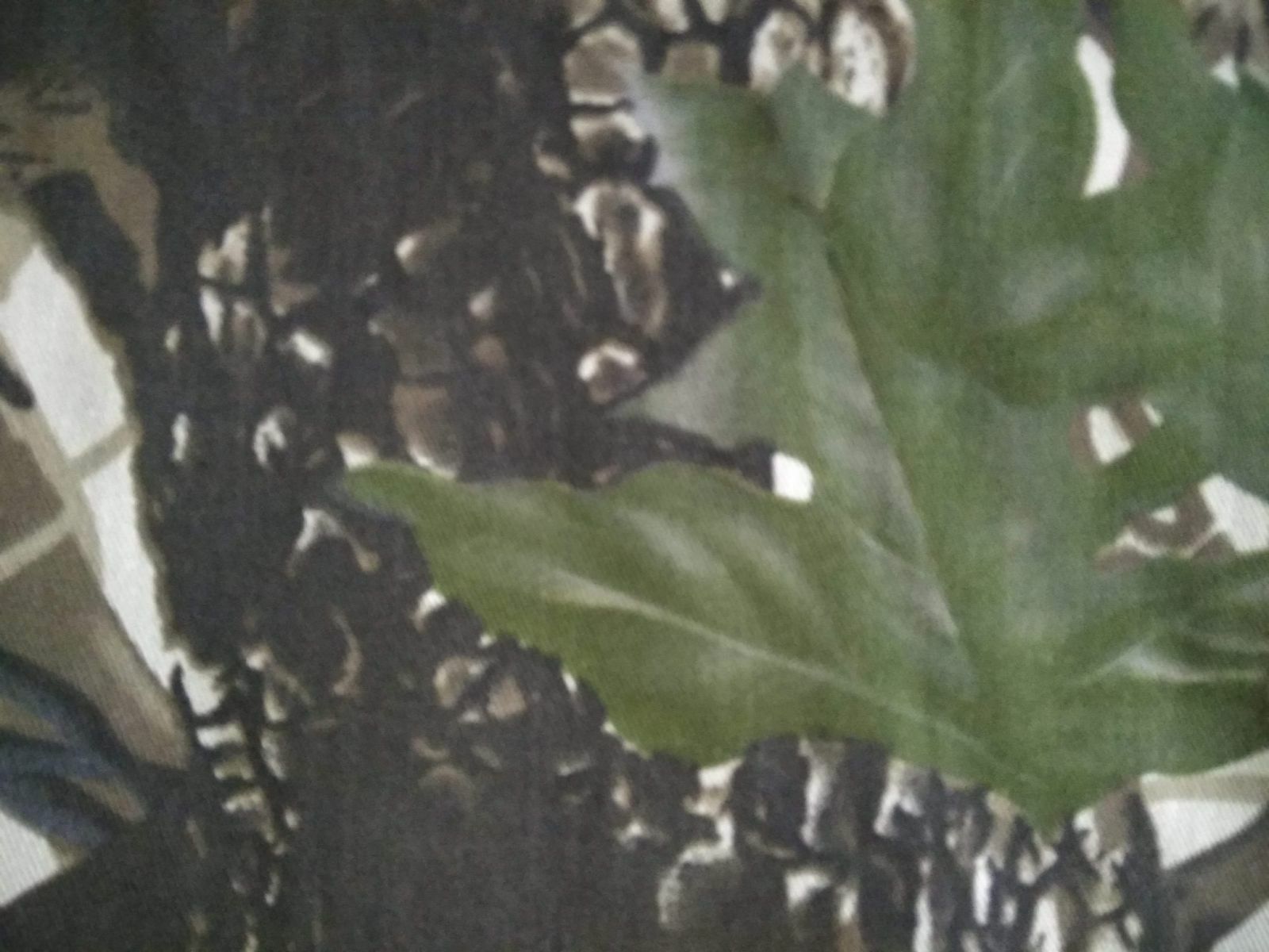 Ткань камуфляжная Грета саржевое плетенье лес с зел. листьями шир 1.5м