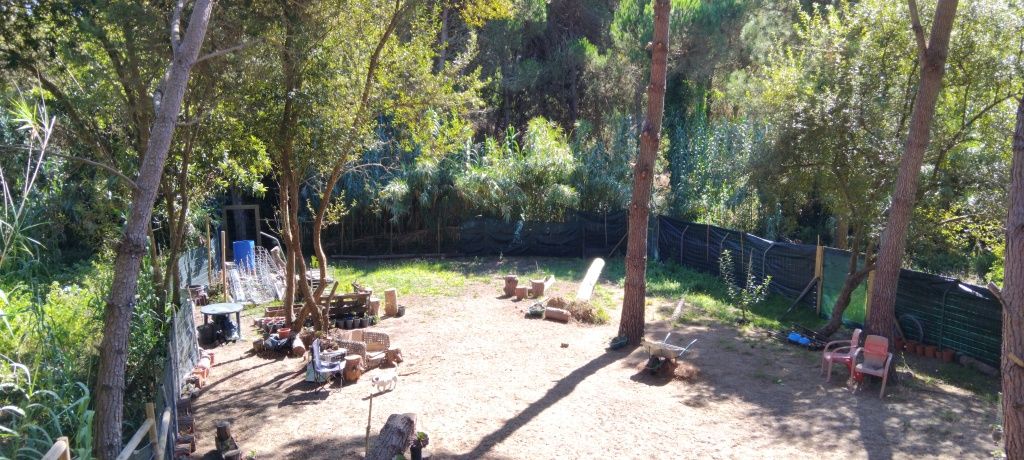 Petsitting/atl  sintra