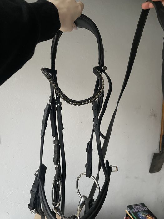 OGŁOWIE skórzane polecam!