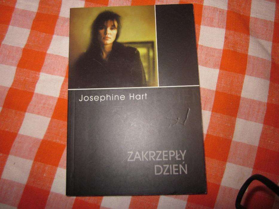 Josephine Hart- Zakrzepły dzień