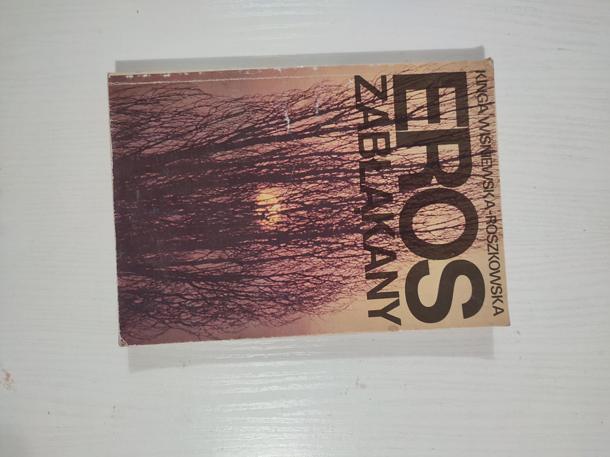 Eros Zabłąkany Kinga Wiśniewska Roszkowska