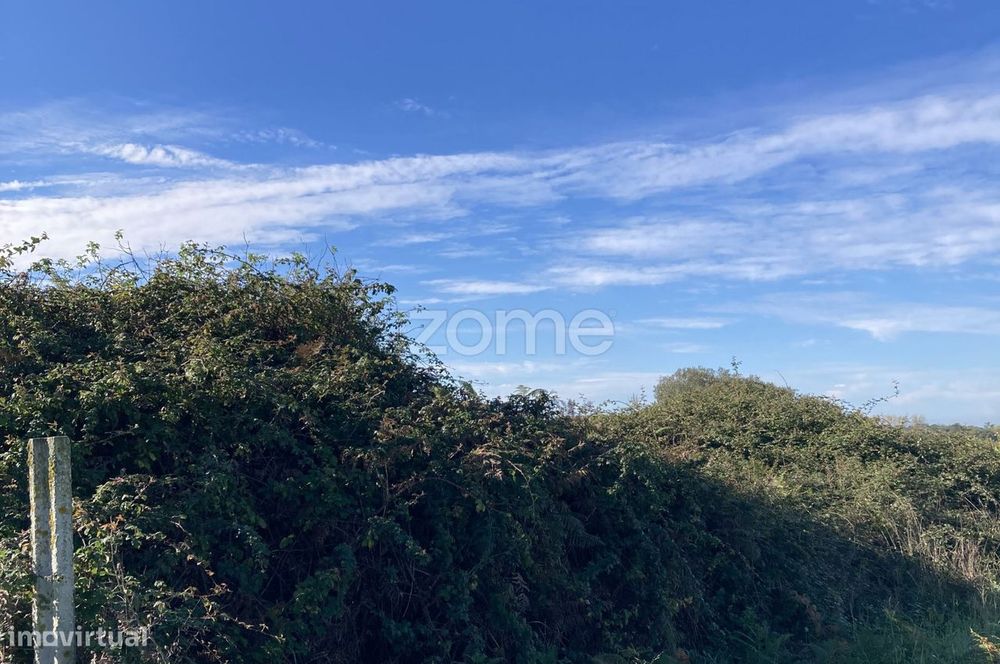 Terreno Rústico em Belinho e Mar