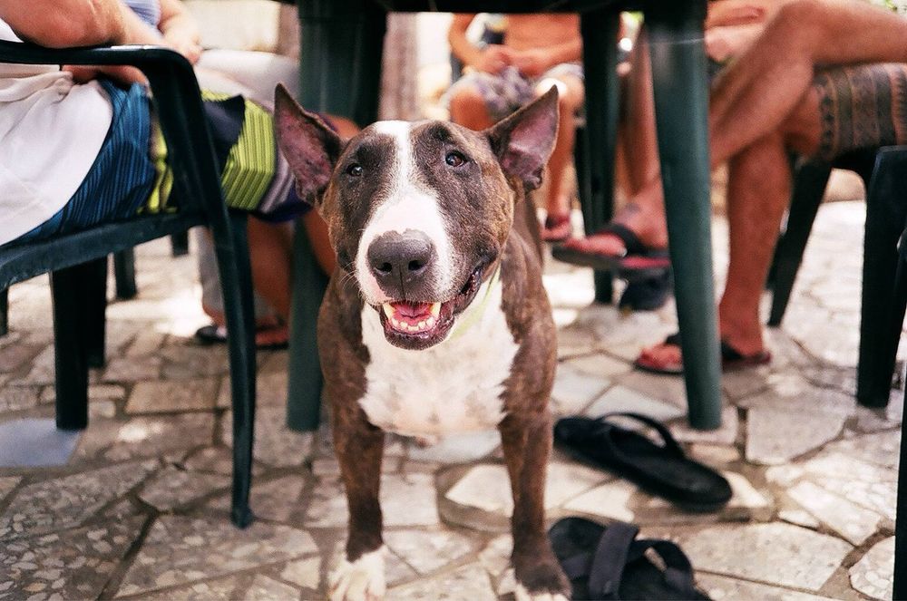 Olympus mju 1 плівковий фотоапарат