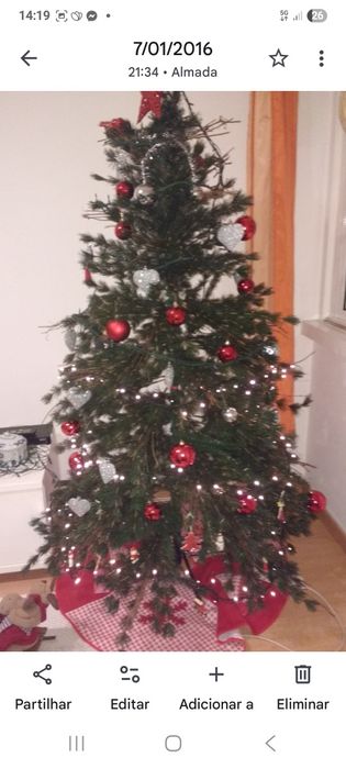 Árvore de Natal com 1, 50m