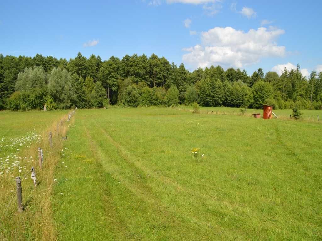 Działka z linią brzegową Mazury