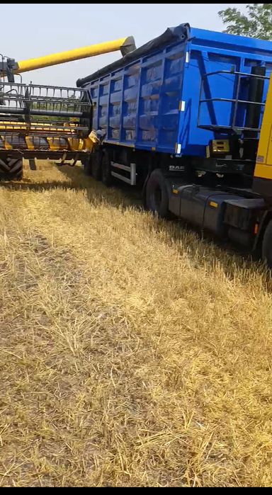 Закуповуємо зернові культури.Відходи.
