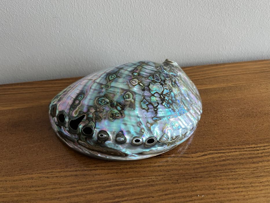Sprzedam dużą muszla muszlę abalone