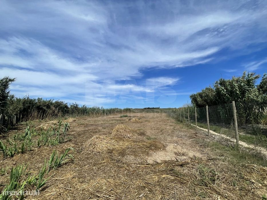 Terreno Rústico Perto do Baleal