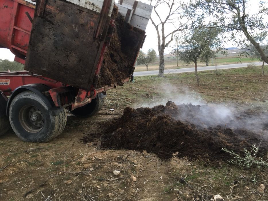 Estrume / fertilizante orgânico