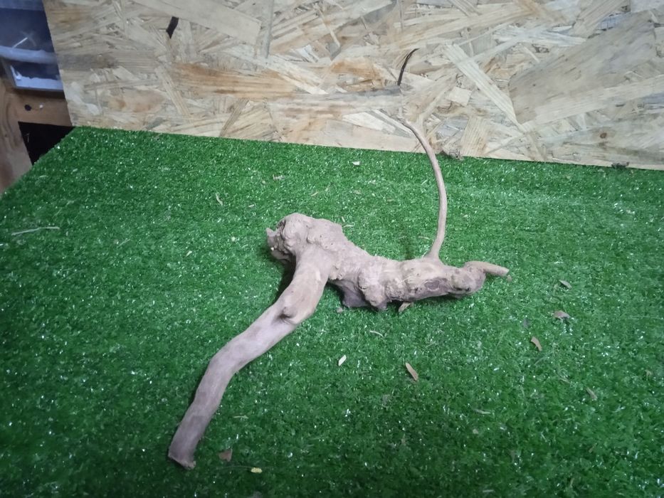 Korzeń do akwarium Red Moore Wood nr 732 o wymiarach 18/15/17