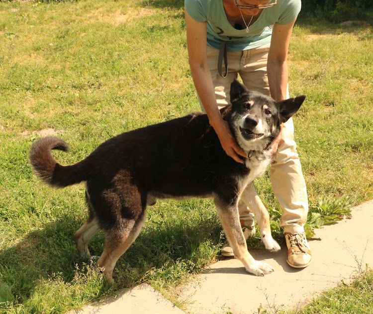 Bardzo kochany Haker szuka domu