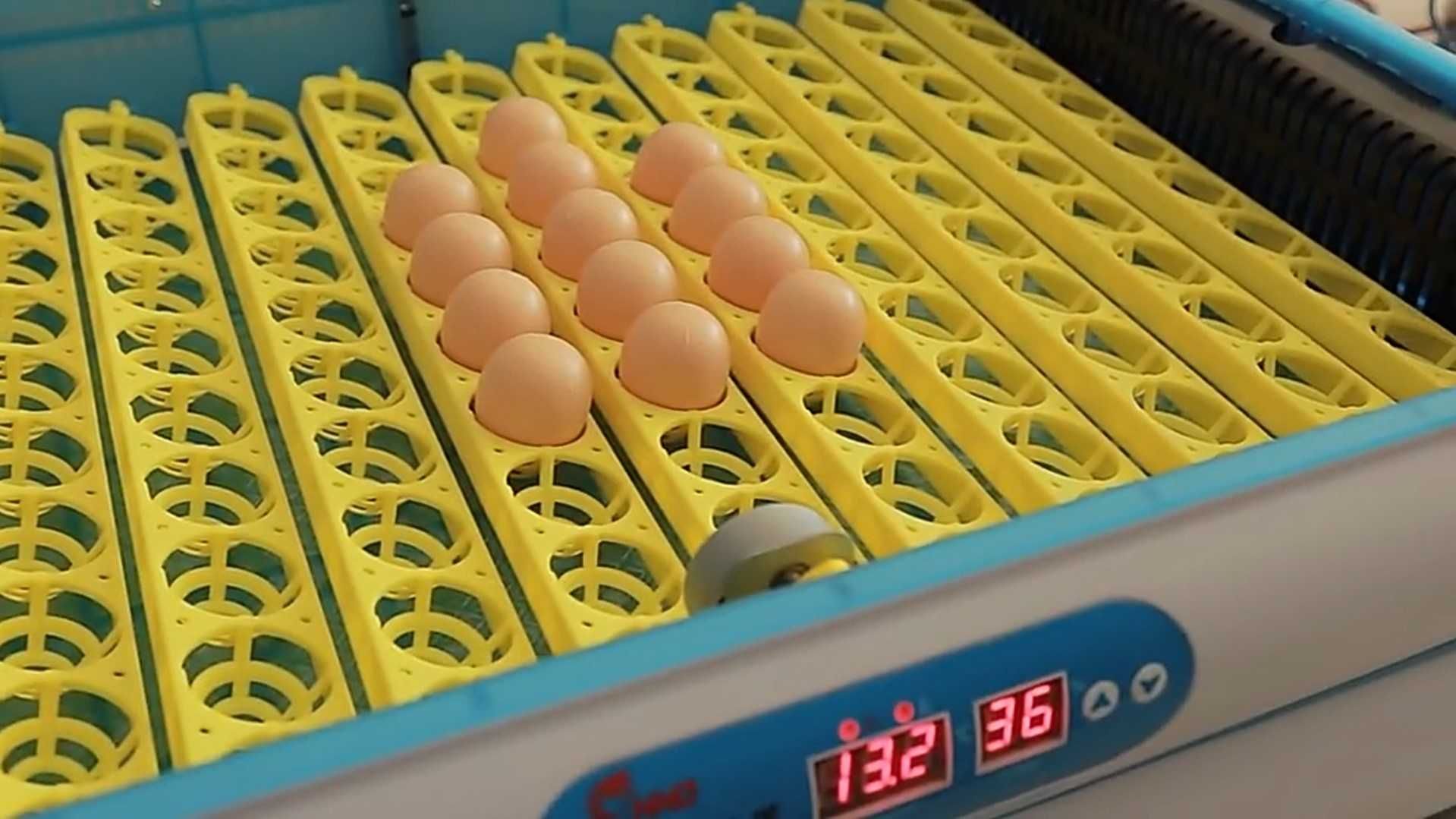 Inkubator automatyczny na 120 jaj z automatyczną wilgotnością! Od ręki