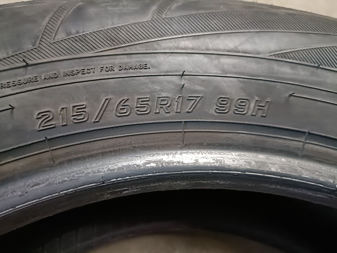 Opony zimowe Falken EuroWinter HS01 SUV 215/65R17 99H