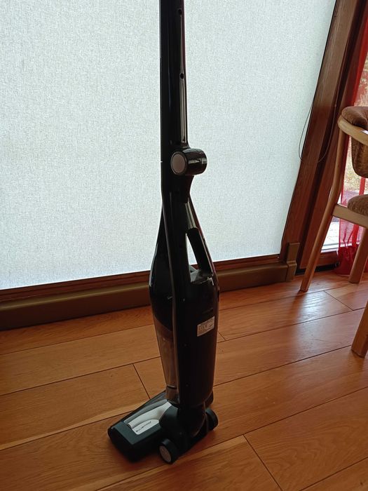 Rowenta dual force 2in1