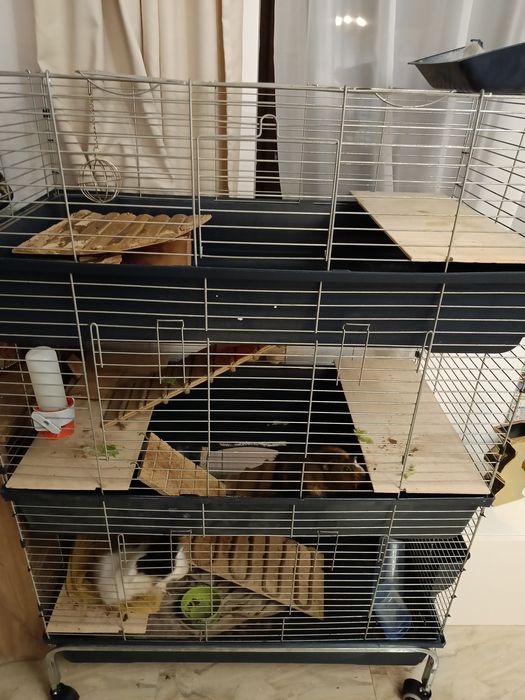 Klatka dla gryzoni pietrowa 3pietra dla koszatniczki