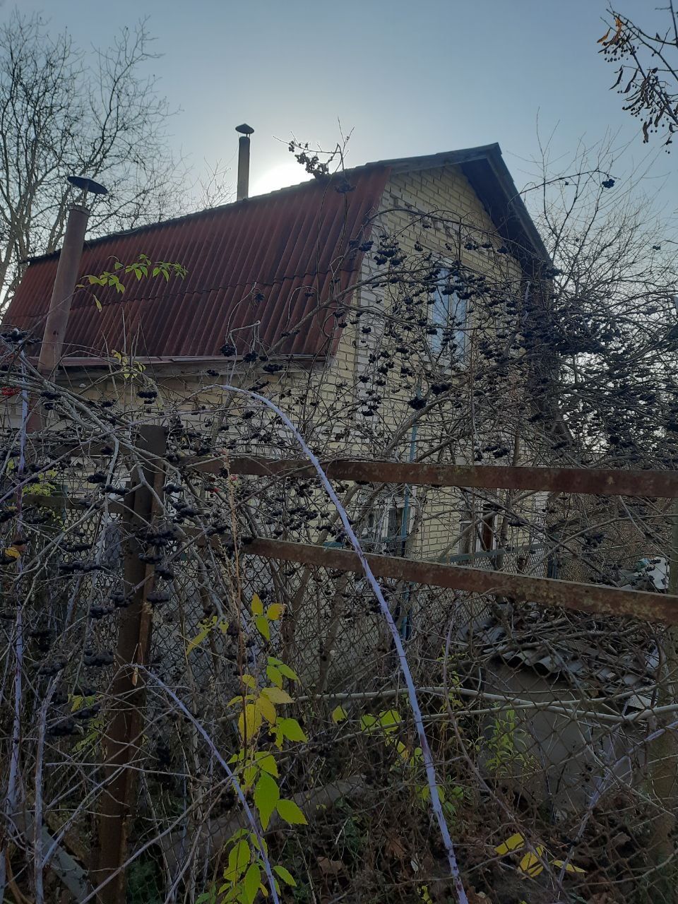 Продам дачу з басейном, в селі "Петрушки" від власника