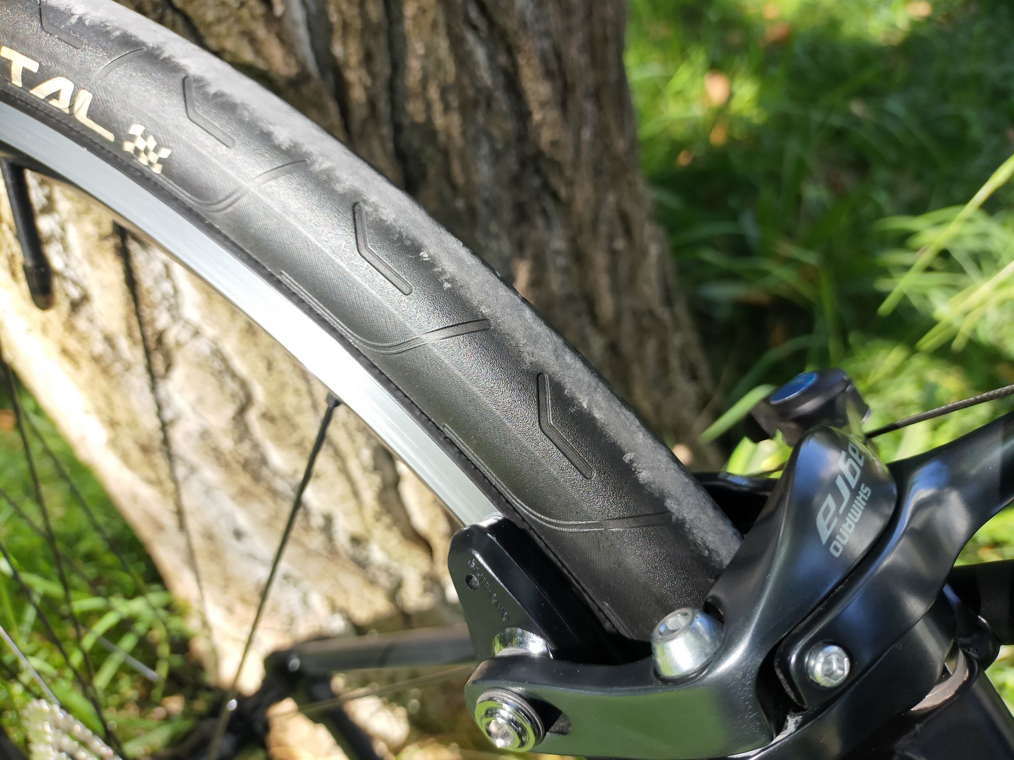 Canyon endurance AL 6 RB