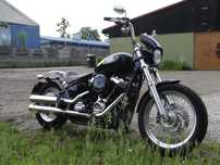 Harley-Davidson Softail Standard Harley Davidson Softail