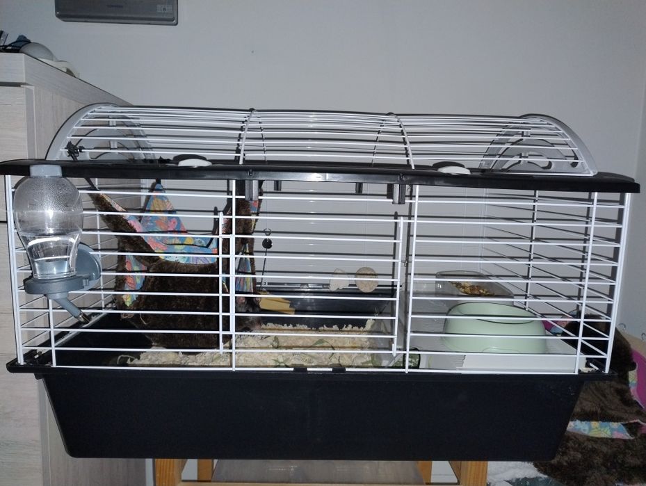 Klatka dla gryzoni Ferplast Casita 8O - królika, świnki, szczurów