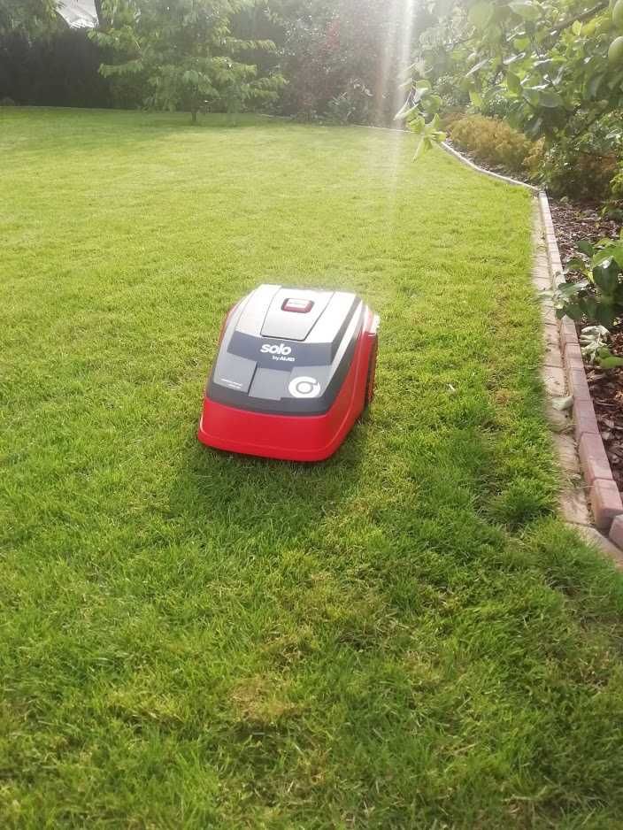 Ogrody, Zakładanie trawników, Systemy Nawadniania, Roboty Koszące