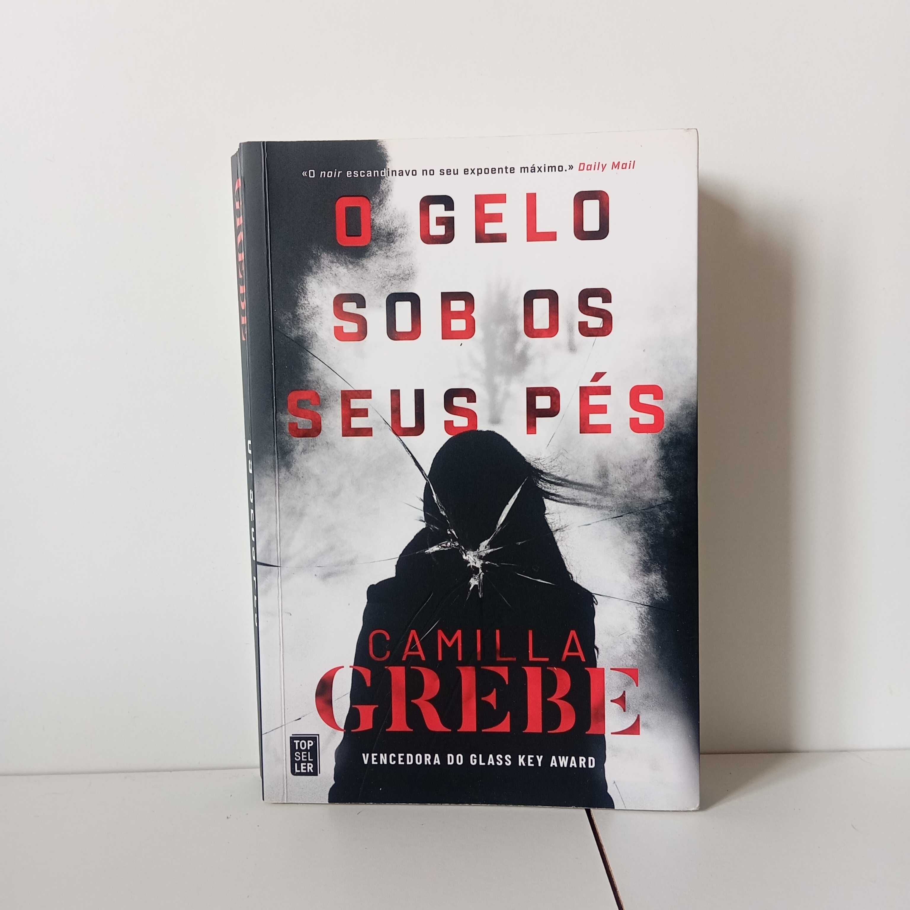 O Gelo Sob Os Seus Pés - Camilla Grebe