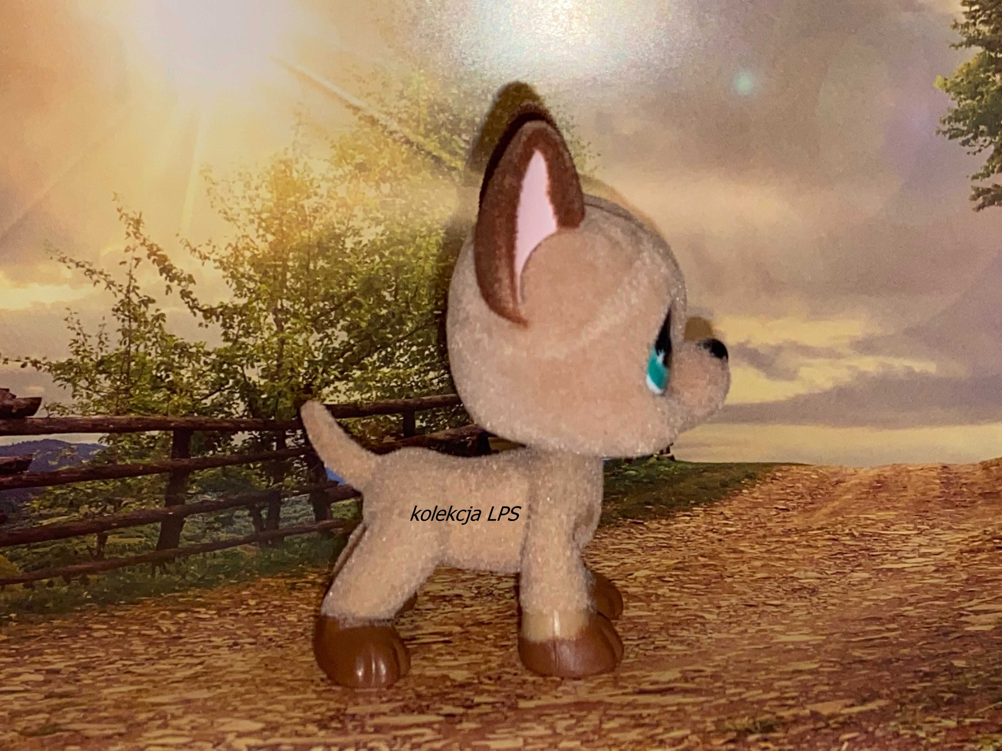 LPS Littlest Pet Shop dog fuzzy #636 oryginalny oryginał magnes UNIKAT