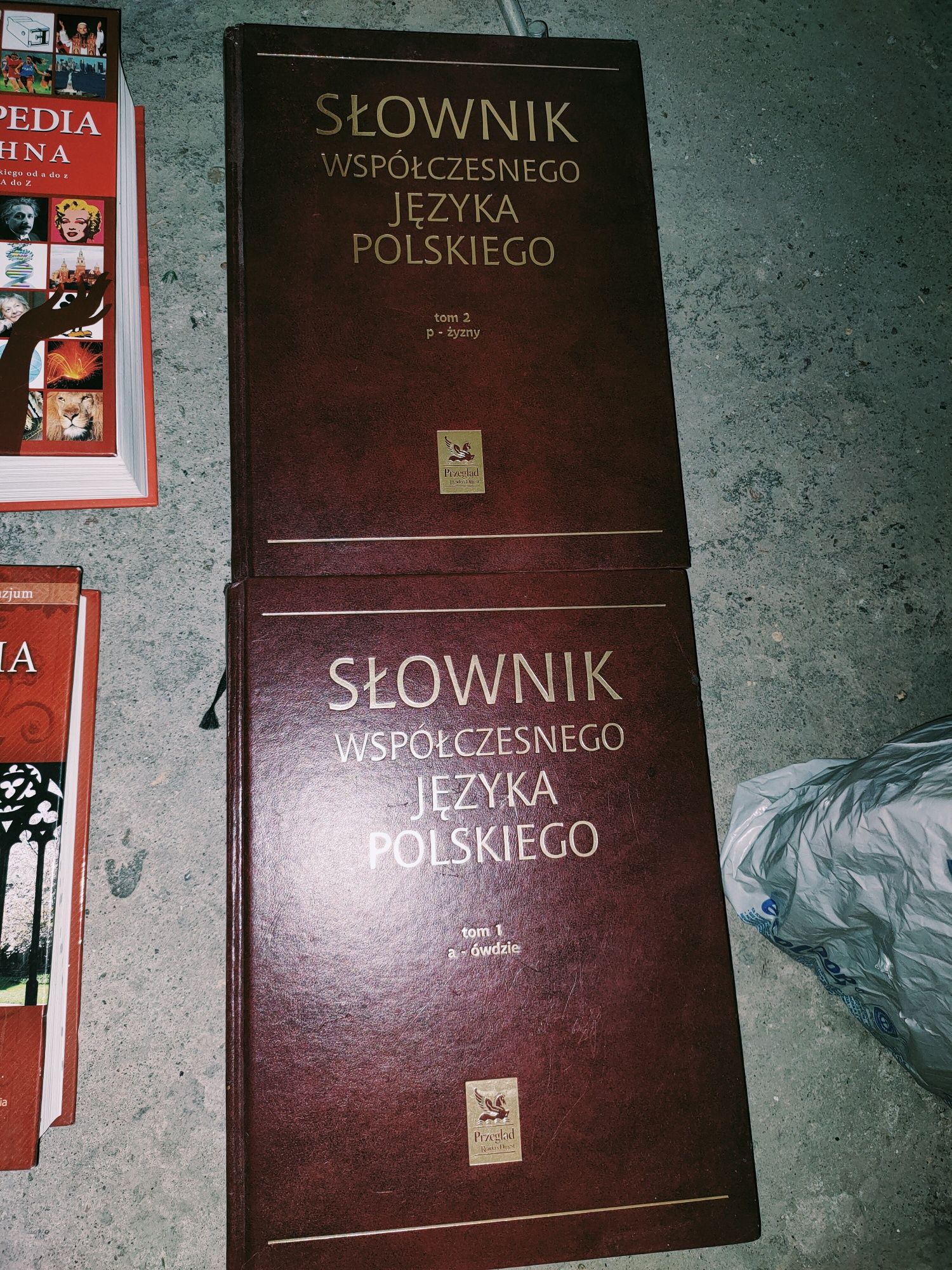 Sprzedam słownik języka polskiego