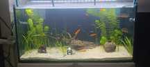 Negociável - Aquarium 1m 200L - Full Equip