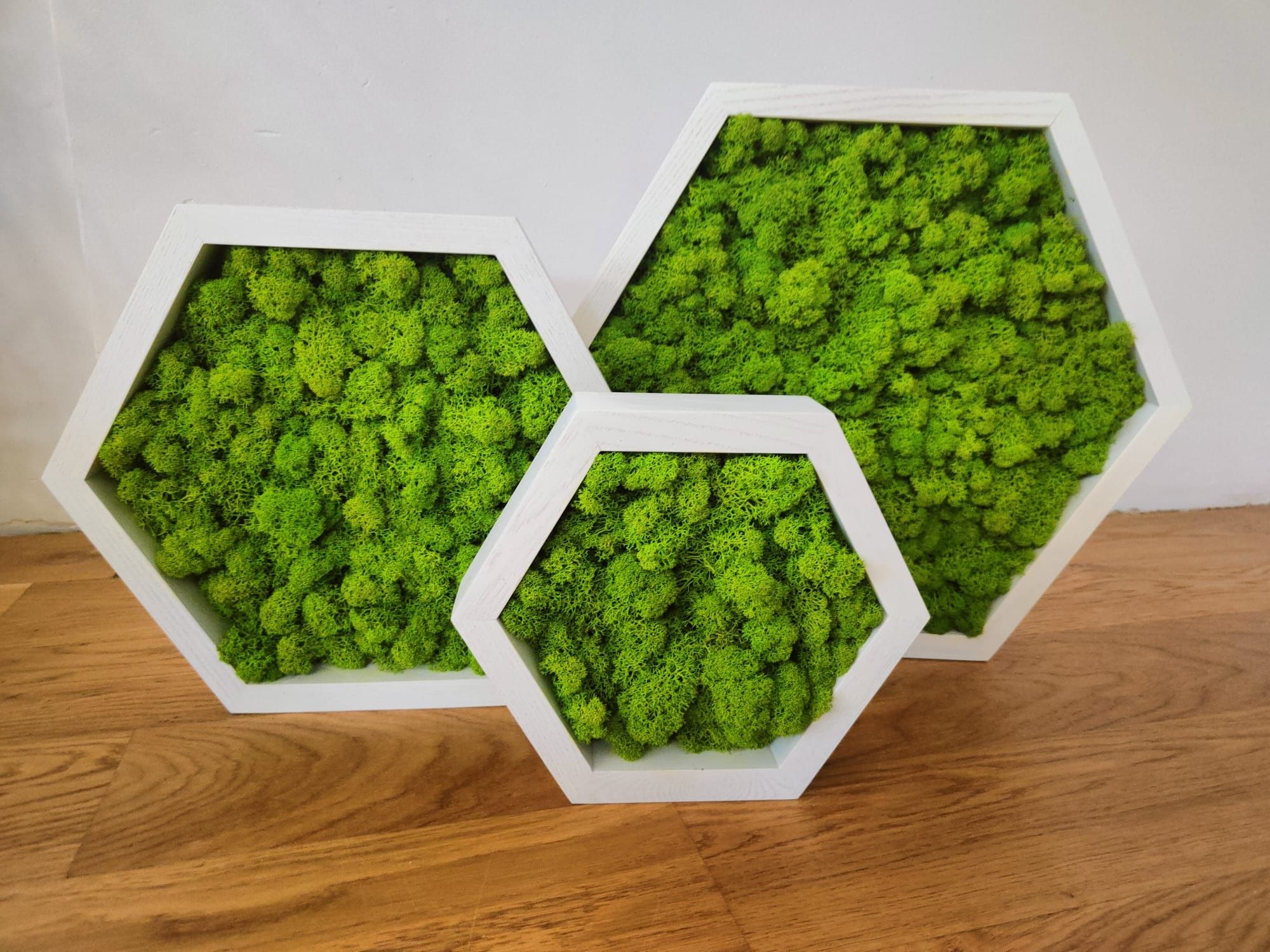 Zestaw obraz HEXAGON mech Chrobotek 3 szt M, L, XL, jesion, drewno
