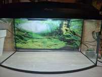 Sprzedam Akwarium 45l