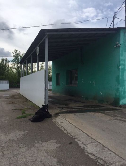 Зважування автотранспорту Харківський рн