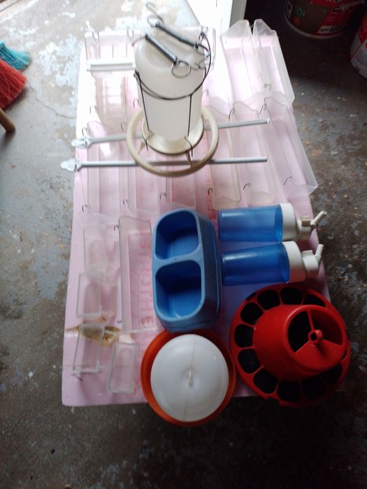 Comedouros e bebedouros