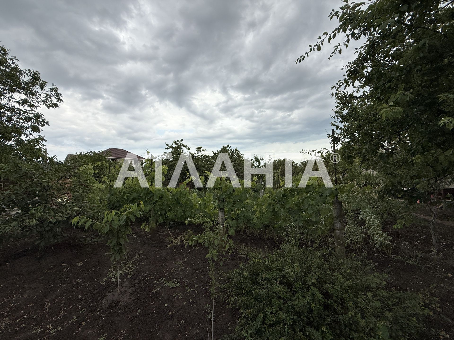 Дача на участке в пригороде Одессы