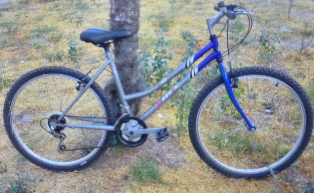 Bicicleta de adulto