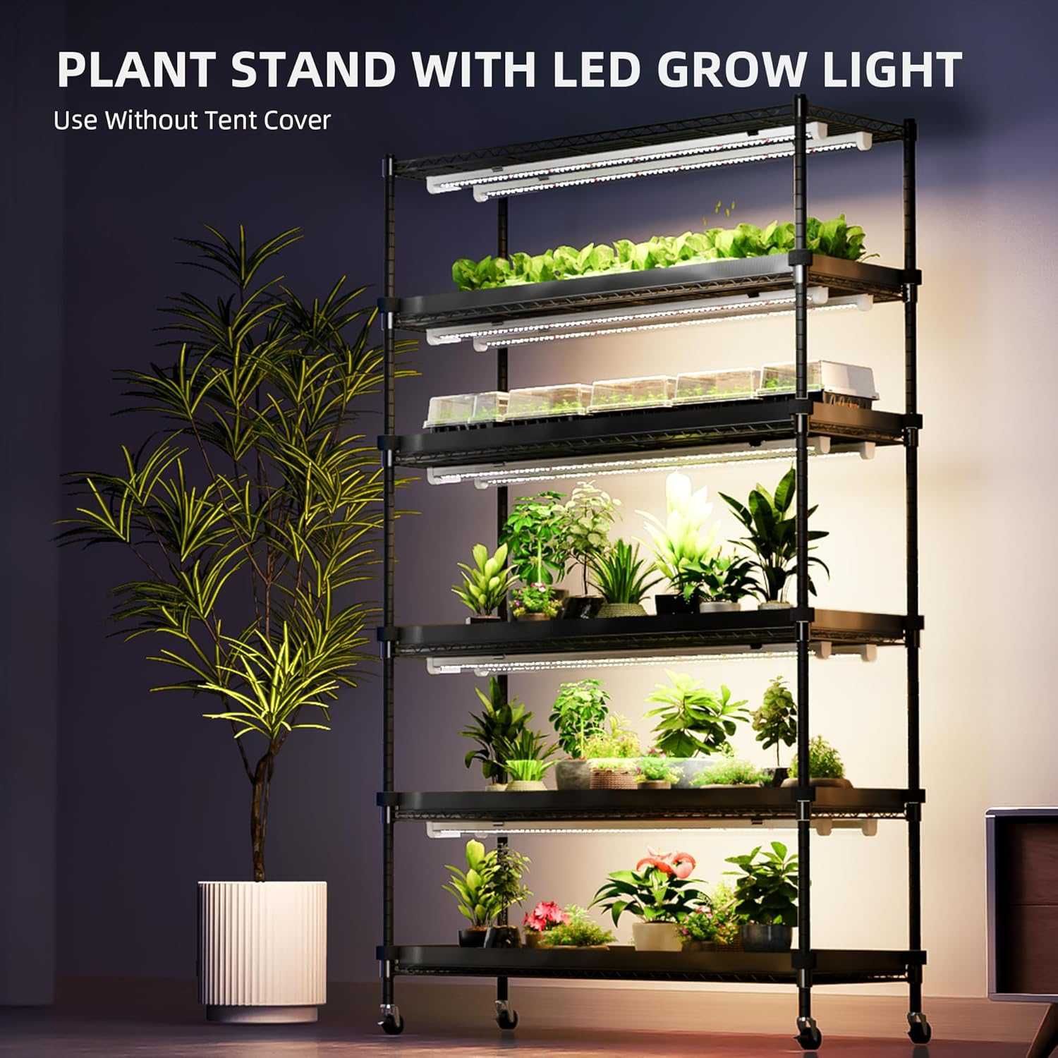 Spider Farmer NAMIOT DO UPRAWY ROŚLIN GROWBOX z lampami X10 220 W