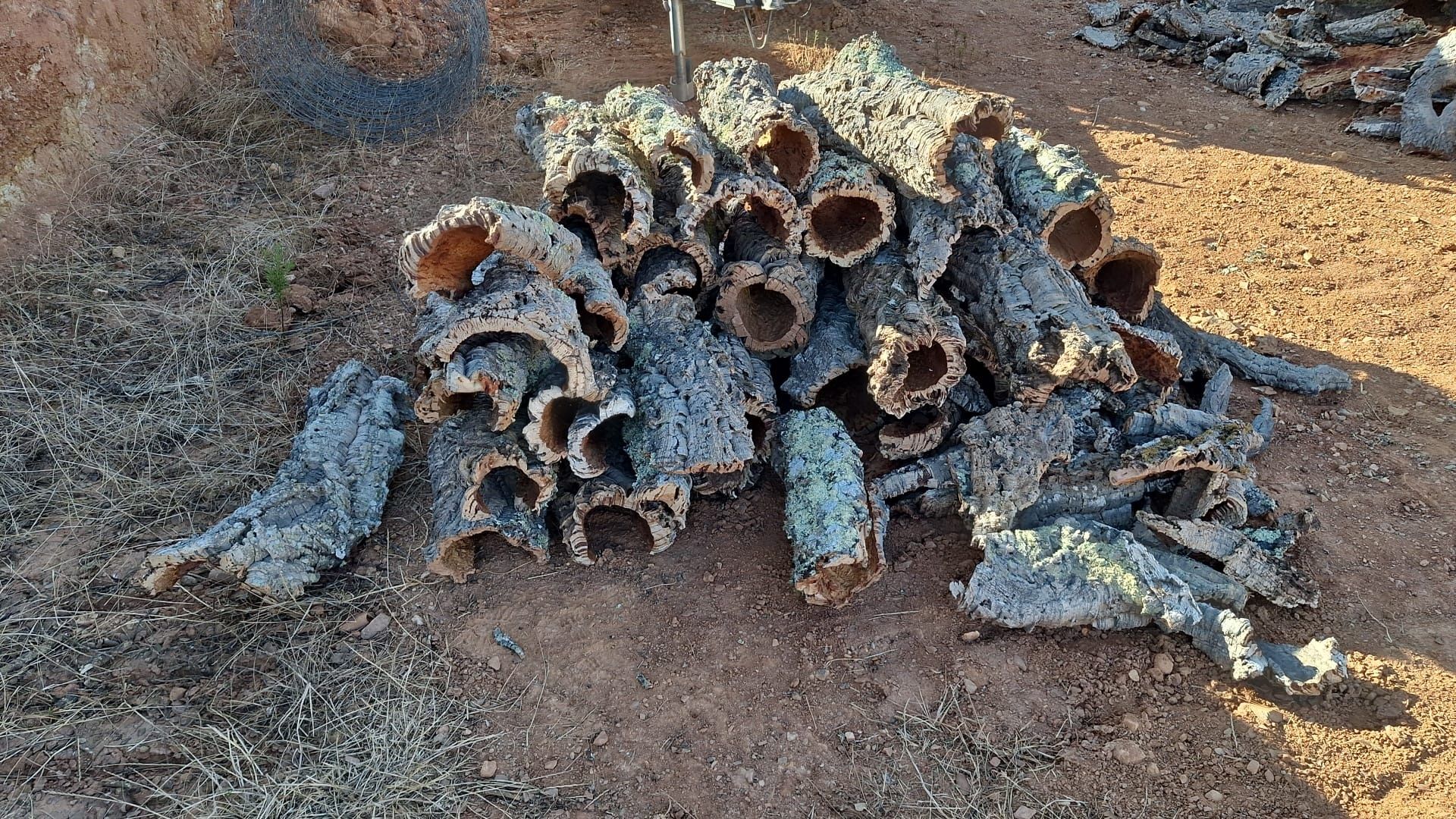Tubos de cortiça para terrário, vários tamanhos