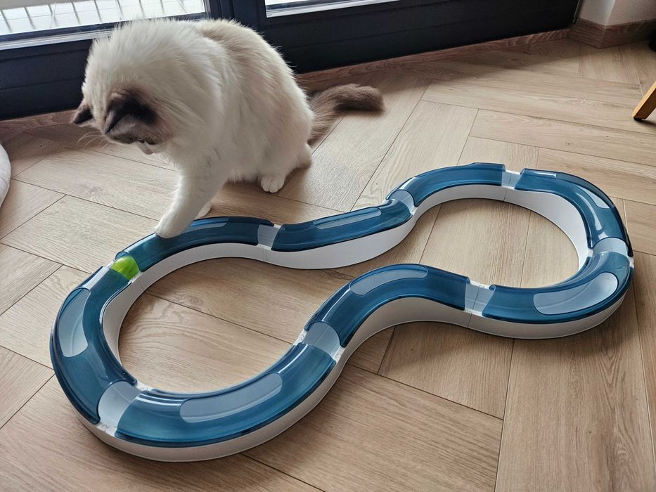 Zabawka edukacyjna interaktywna dla kota - Tor z kulką