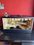 Terarium 70 x 40 x 40