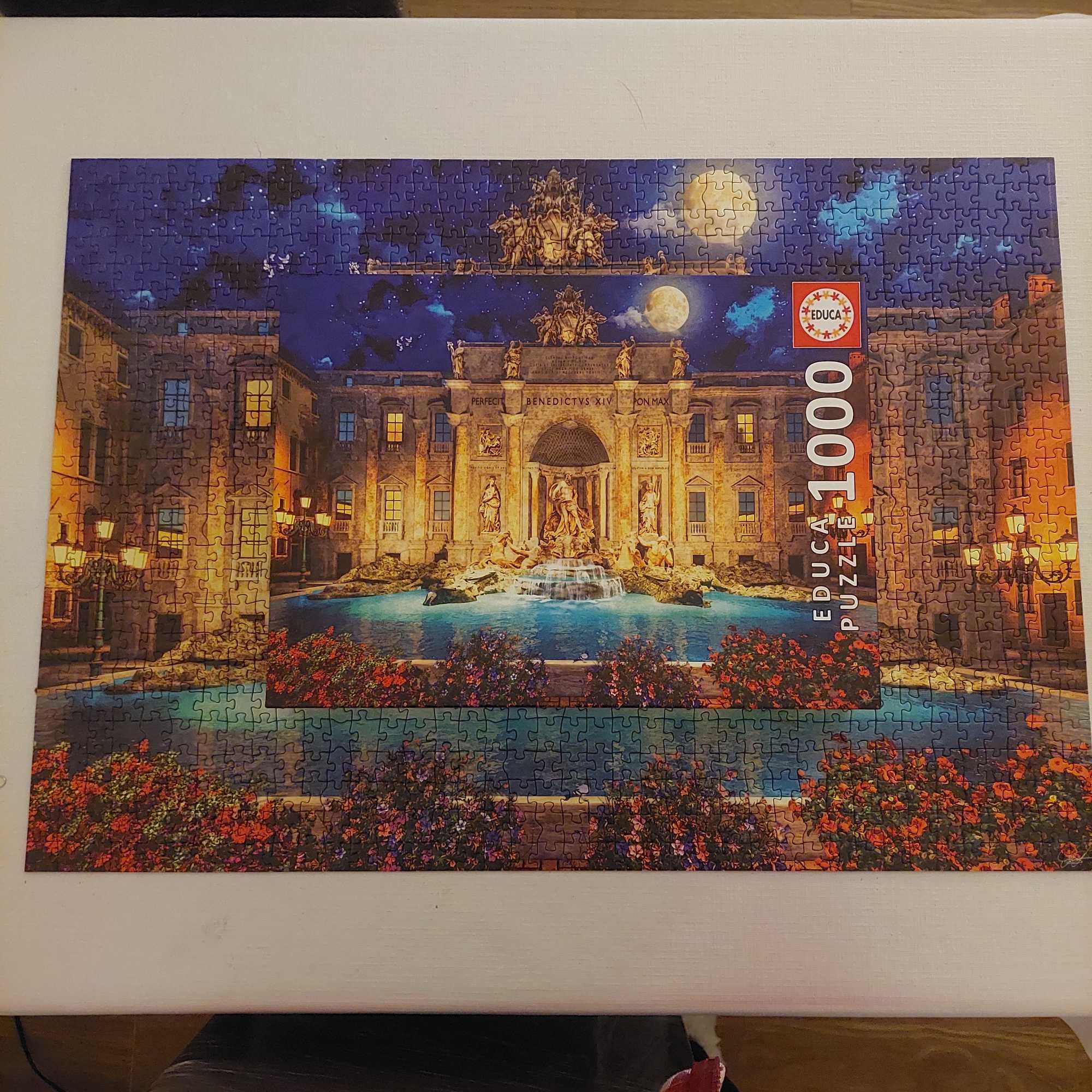 Puzzle 1000 peças