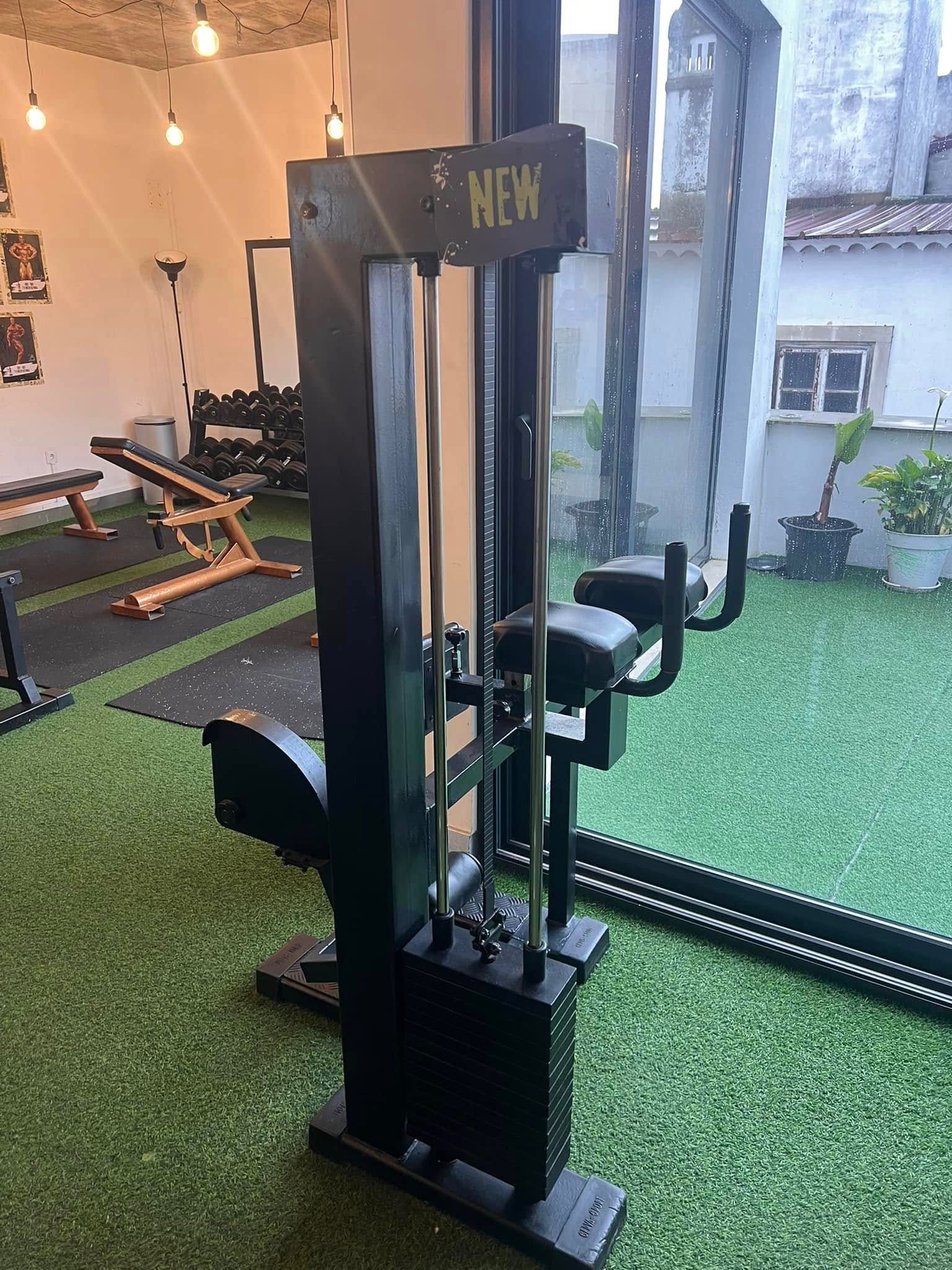 Femural em pé. Biomecânica excelente