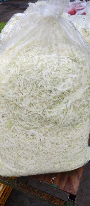 Kapusta Główki i inne Świeże Warzywa Prosto od Rolnika