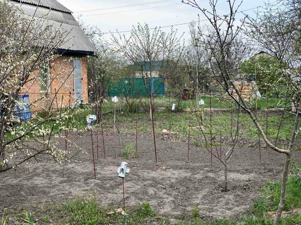 Дача СТ Фотон, 12 соток