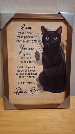 Ramka na zdjęcie z canvą Black cat 23x32cm