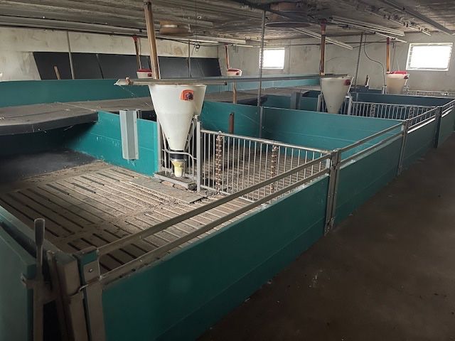 Wygrodzenia 75cm - WARCHLAKARNIA - idealny stan