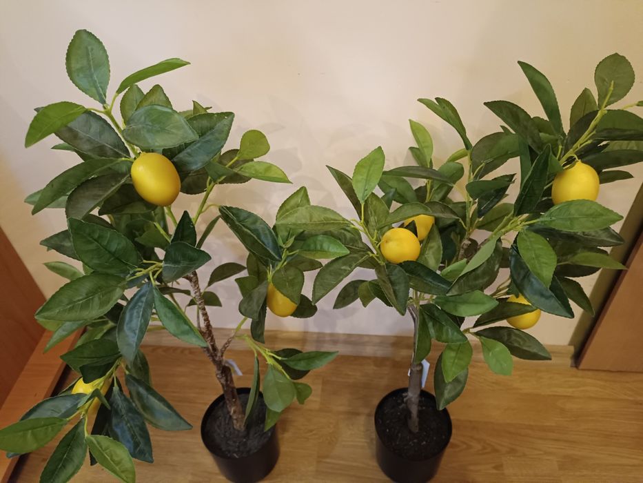 Drzewo cytrynowe cytrus sztuczne 70 cm