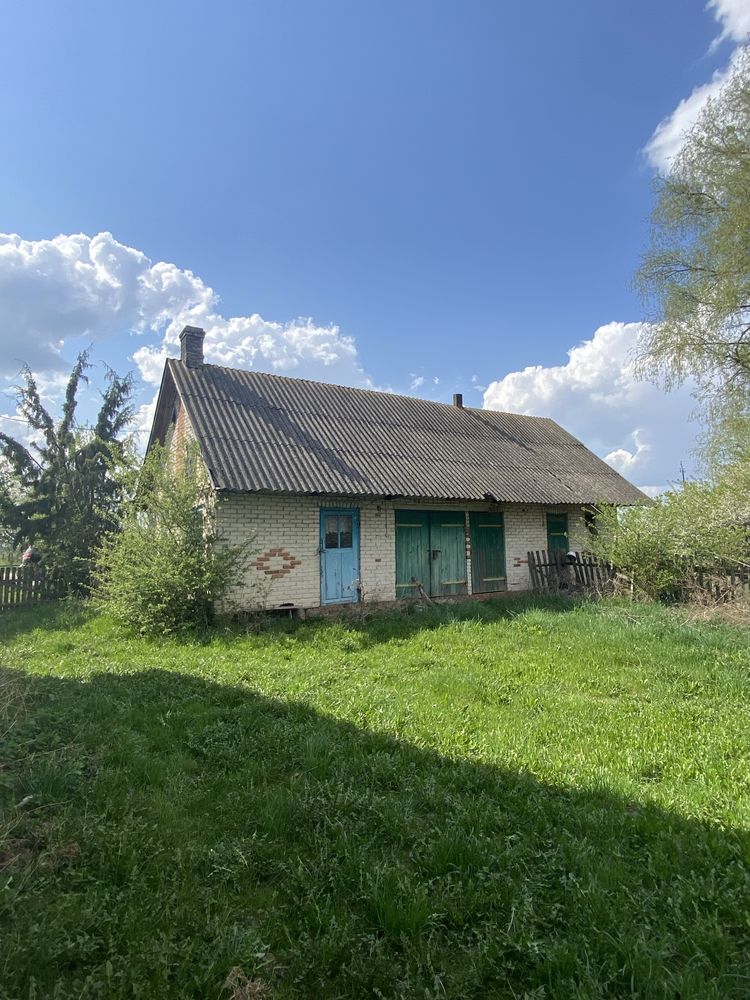 Житловий будинок із земельною ділянкою в с. Холоневичі