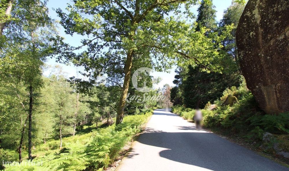 Terreno rústico com 11.000m2 em Terras do Bouro