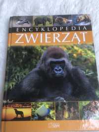 Encyklopedia Zwierząt