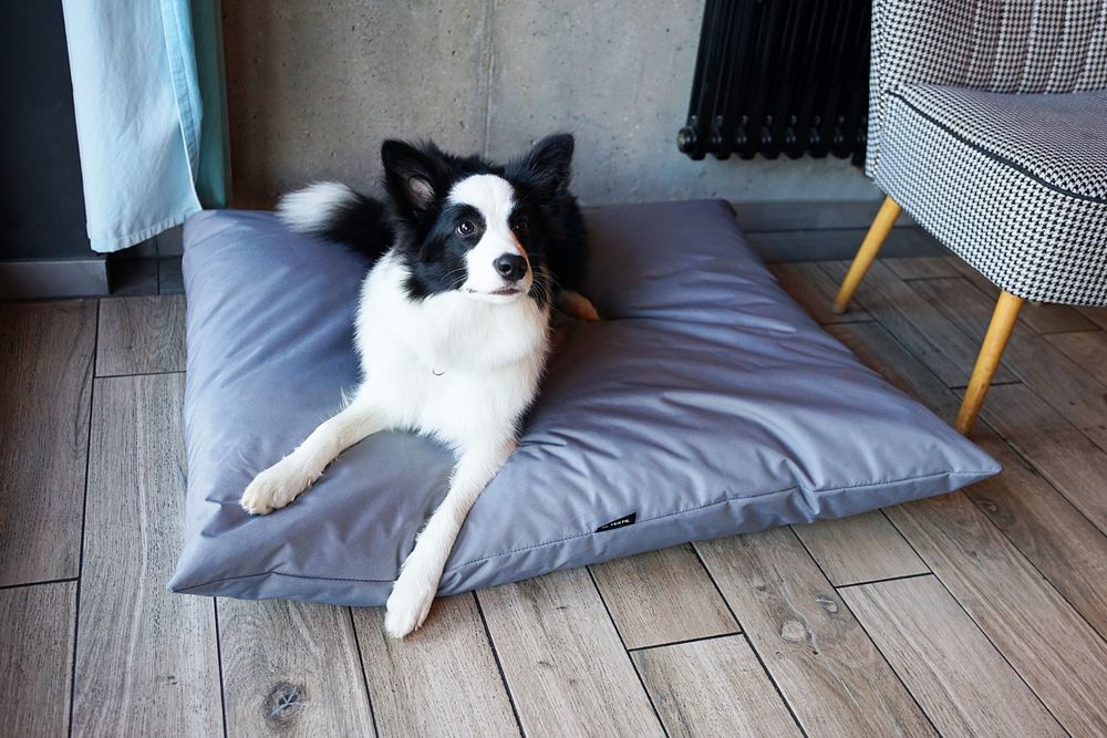 Wodoodporne legowisko poduszka dla psa ZOE (80x60 cm, Szary)