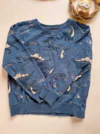 Bluza Lindex 122 na 6 lat niebieska w dinazaury bez kaptura bawełniana